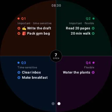 The four priority quadrants on the watch
